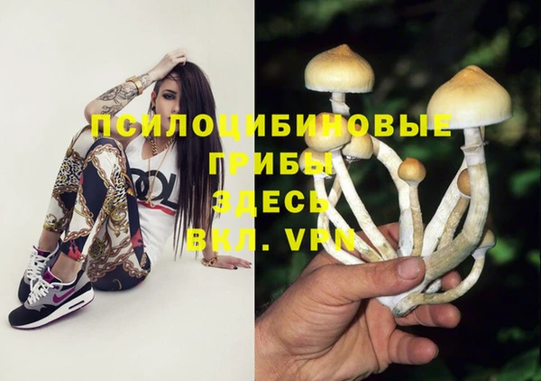 не бодяженный Богородицк
